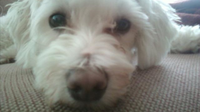 Snuggles Kiara